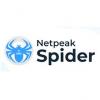 Netpeak Spider Logo
